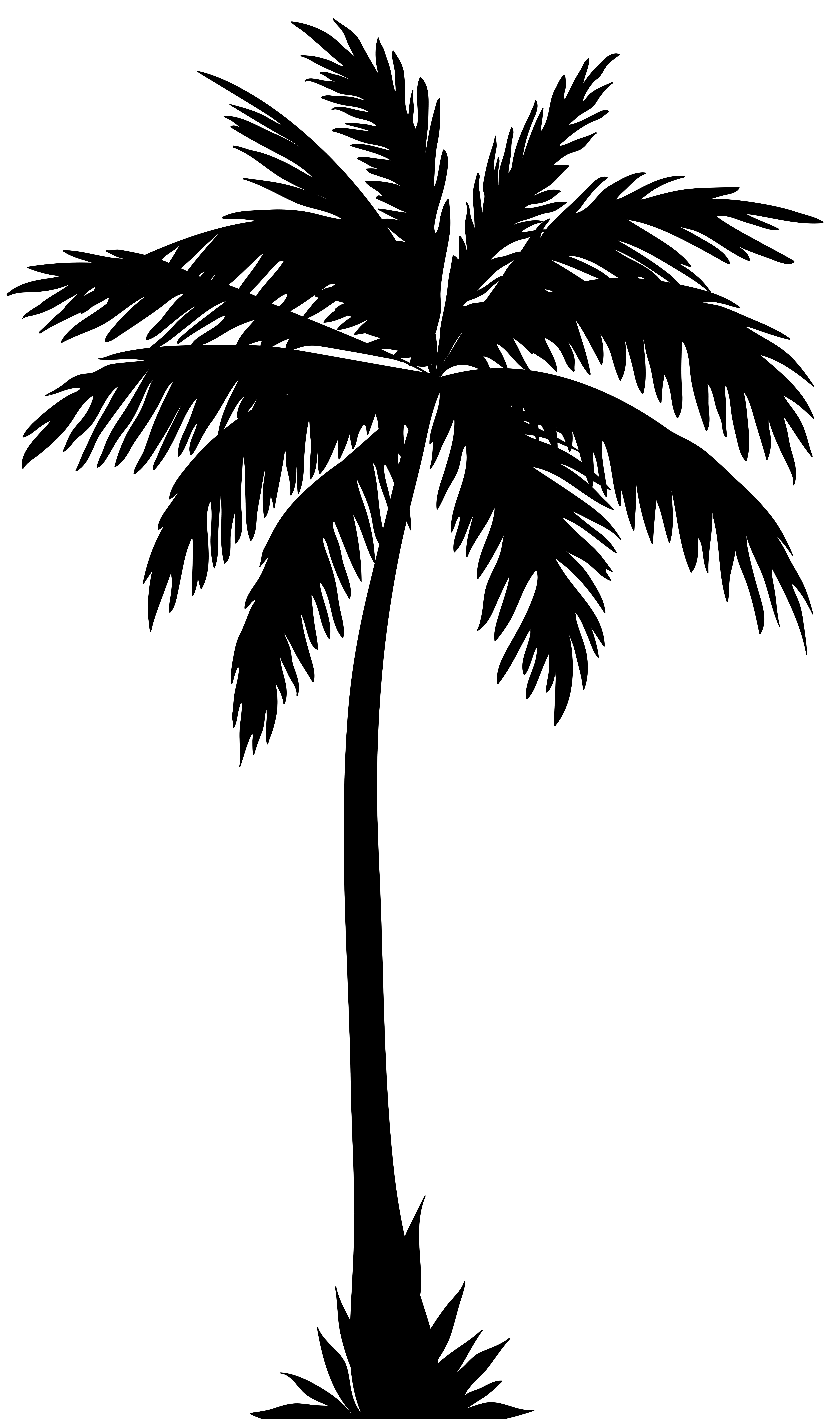 4738x8000 Feminist Palm Tree Silhouette, Palm Tree