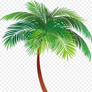 300x300 Png Asian Palmyra Palm Illustration Palm Trees Vector Catchsplace