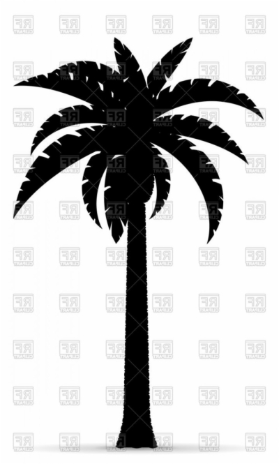 400x665 Result For Palm Tree Vector Png