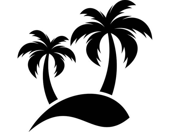 570x442 Unique Palm Tree Vector Png Images In Collection