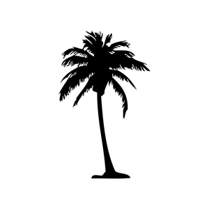 300x300 Collection Of 'palm Tree Silhouette Vector Free' Download More