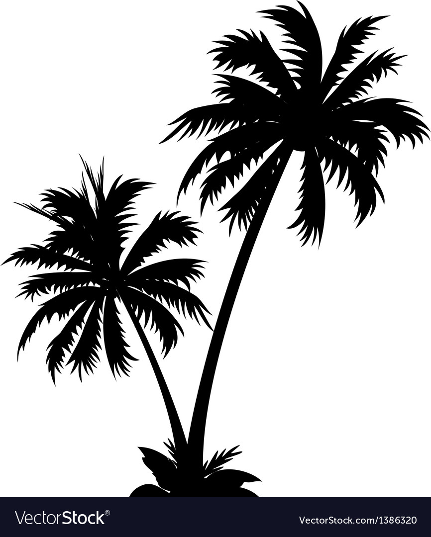 Palm Vector 866x1080 Palm Vector