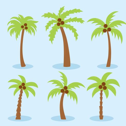 Palm Free Vector Art 490x490 Palm Free Vector Art
