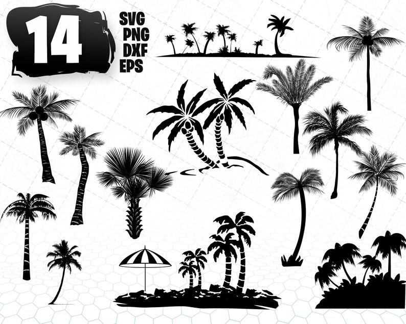 Palm Palm Silhouette Palm Tree Palm Tree Clipart Etsy 794x635 Palm Palm Silhouette Palm Tree Palm Tree Clipart Etsy