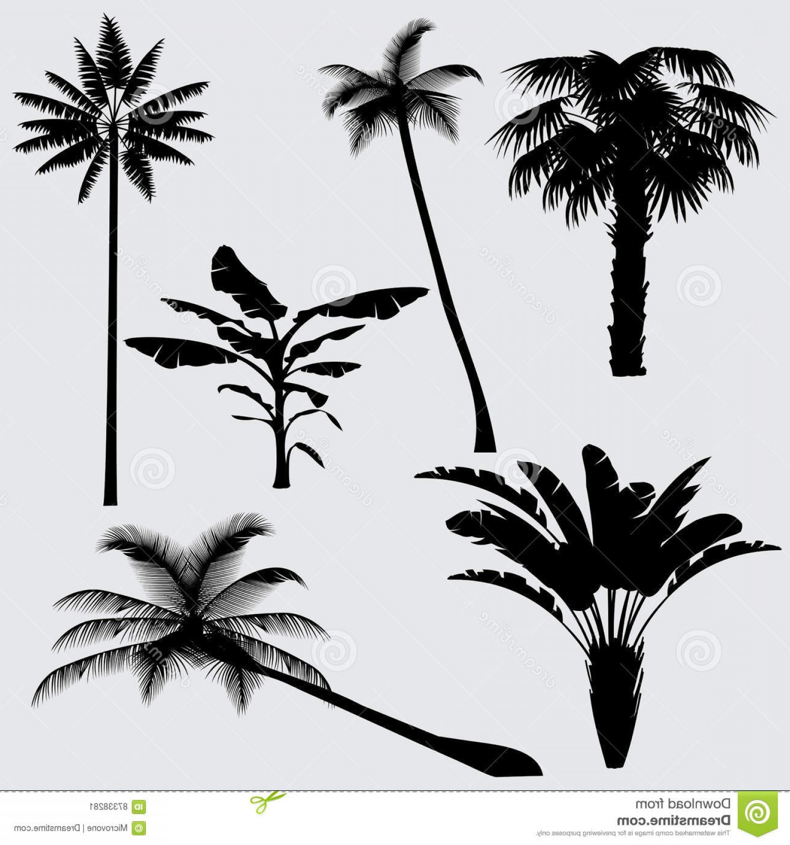 Black Palm Tree Vector Catchsplace 1560x1668 Black Palm Tree Vector Catchsplace