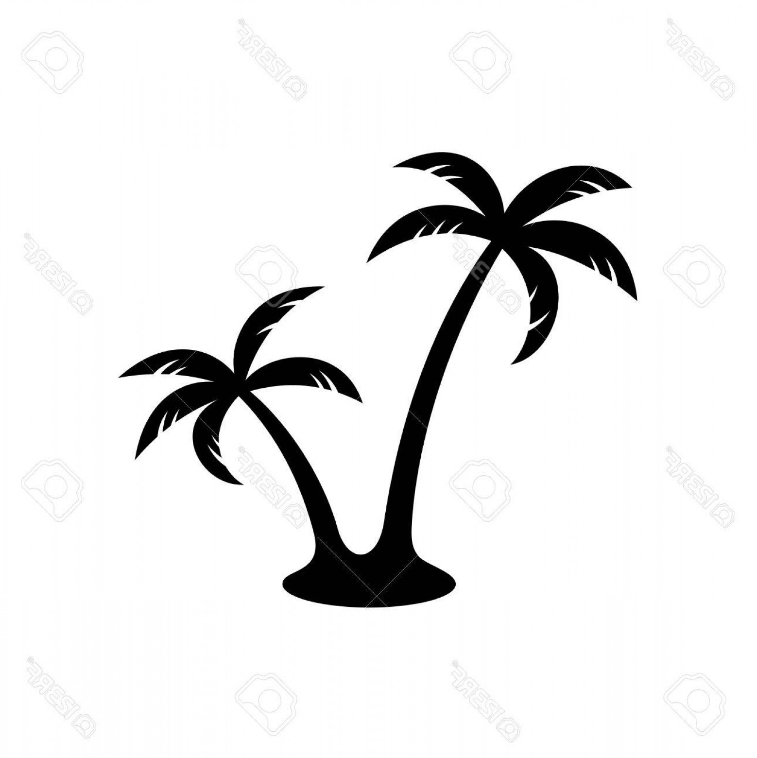 Photostock Vector Palm Trees Silhouette Simple Black Two Palm 1558x1560 Photostock Vector Palm Trees Silhouette Simple Black Two Palm