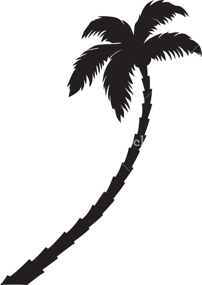 Vector Palm Tree Royalty Free Stock Image 708x1000 Vector Palm Tree Royalty Free Stock Image