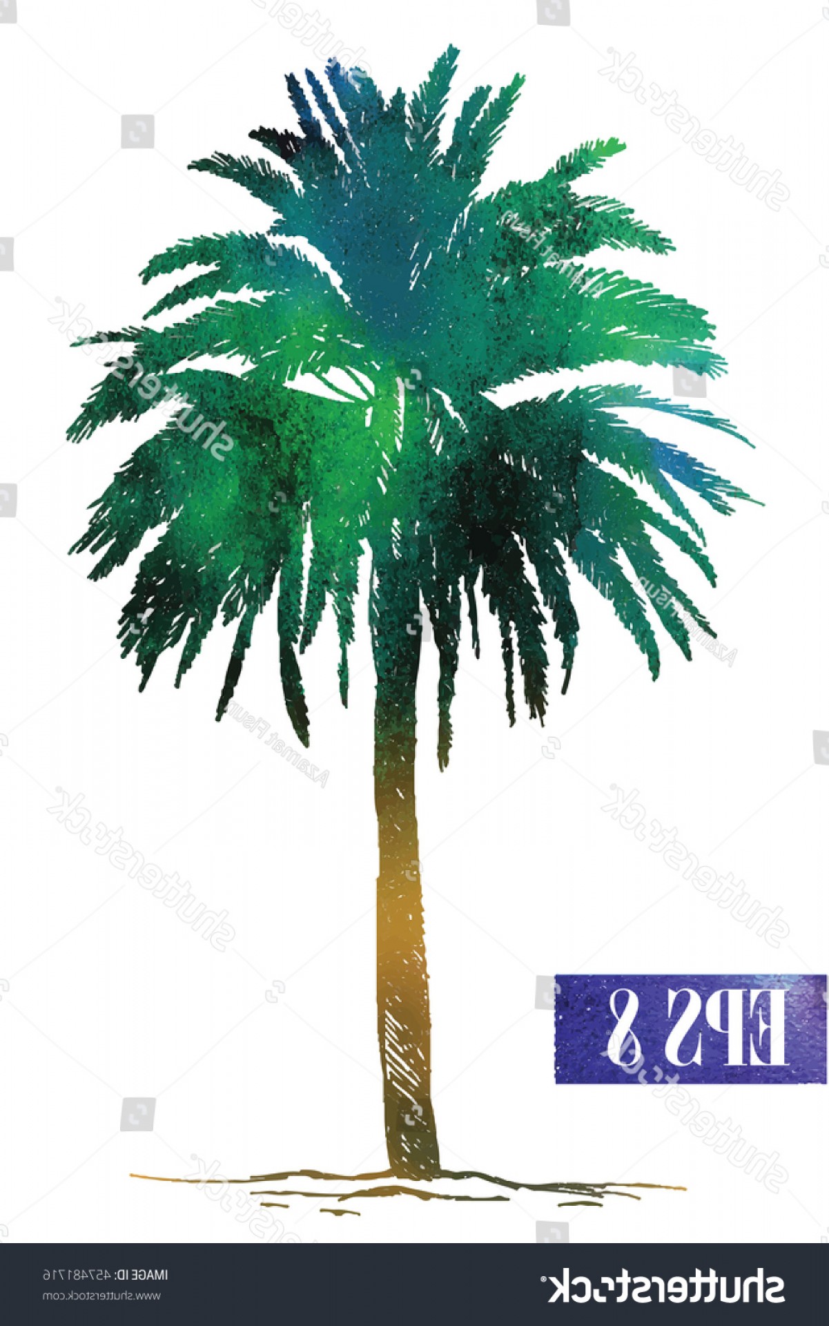 Date Palm Vector Soidergi 1201x1920 Date Palm Vector Soidergi