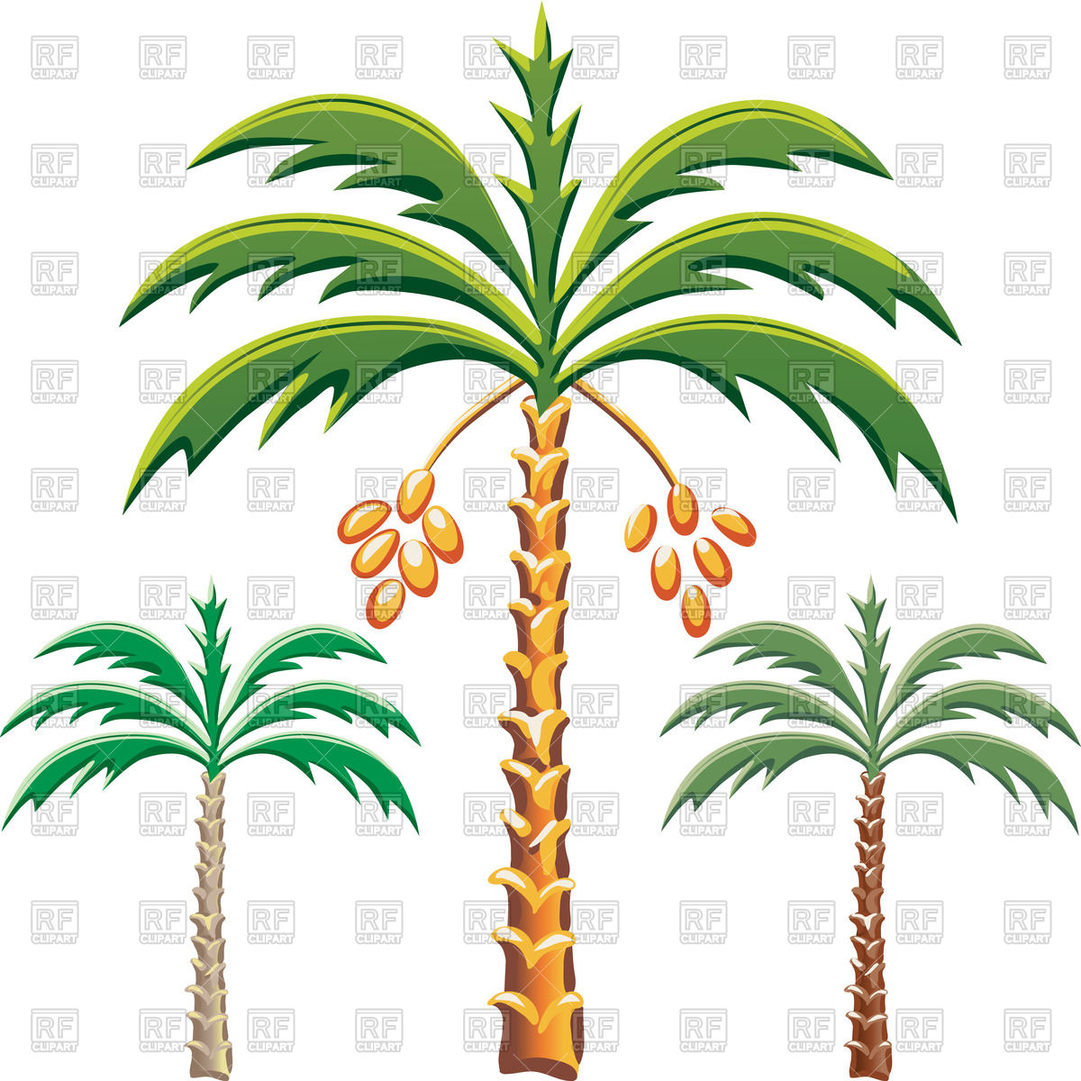 Date Palm Trees Vector Image Of Plants And Animals 1200x1200 Date Palm Trees Vector Image Of Plants And Animals