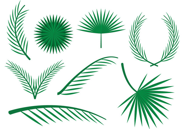 Free Palm Leaves Vector Ornaments Free Vector Download 632x443 Free Palm Leaves Vector Ornaments Free Vector Download