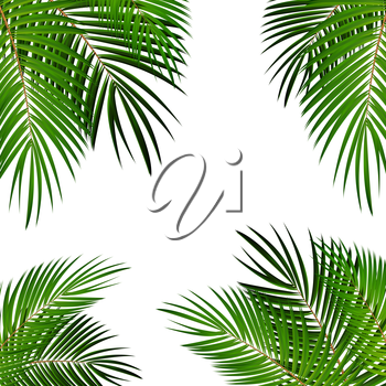 Palm Vector Png at Vectorified.com | Collection of Palm Vector Png free ...