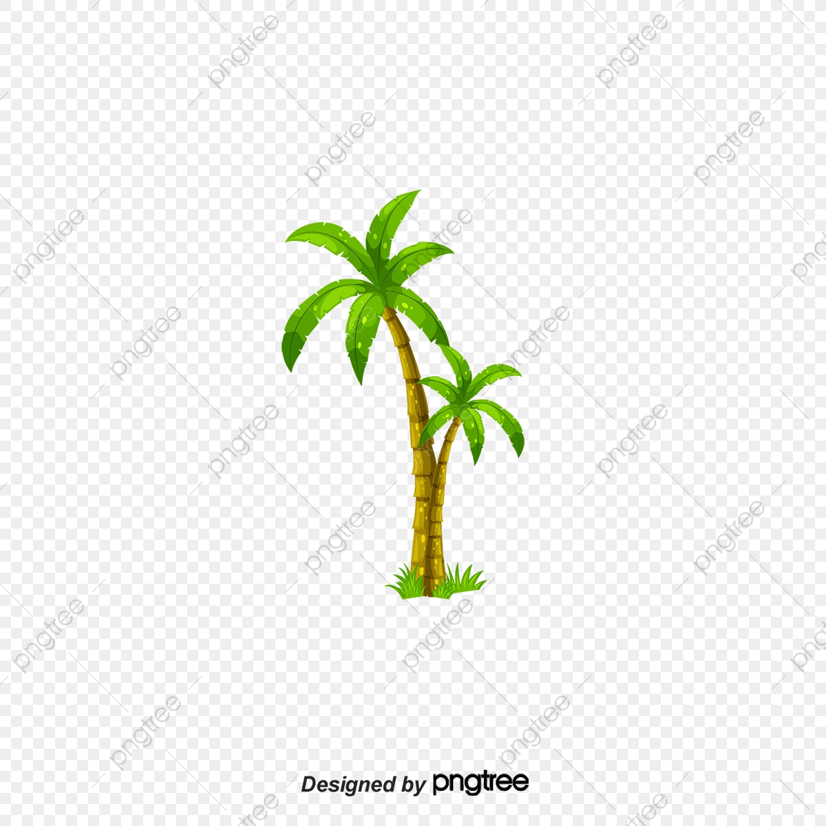 1200x1200 Palm Vector Material, Coco, Green, Vector Png And Vector