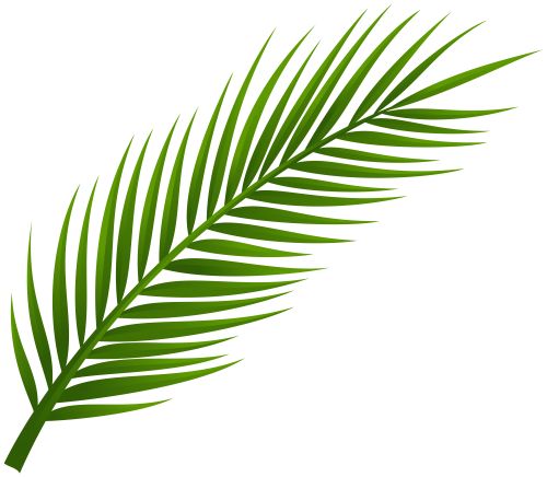 500x436 Palm Clipart Green For Free Download And Use Images