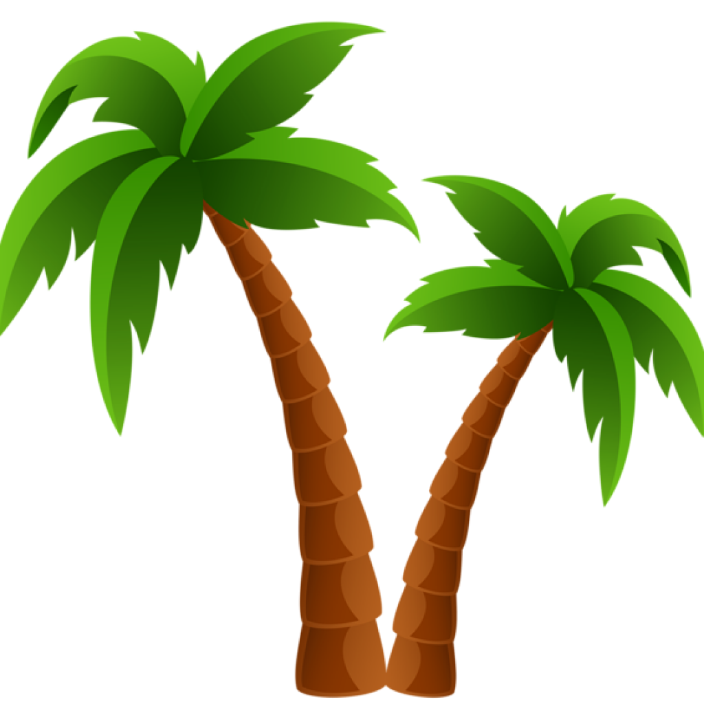 1024x1024 Palm Clipart Vector, Palm Vector Transparent Free For Download