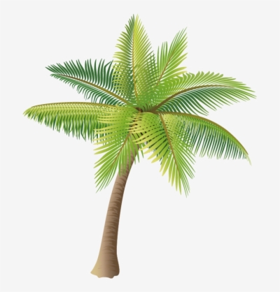 400x418 Result For Palm Tree Vector Png