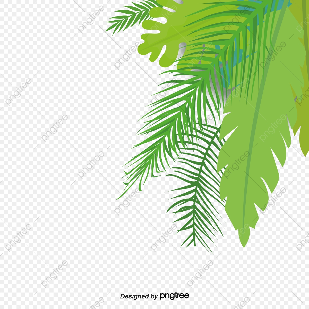 1200x1200 Vector Fashion Hand Painted Side Palm Tree, Fashion Vector, Hand