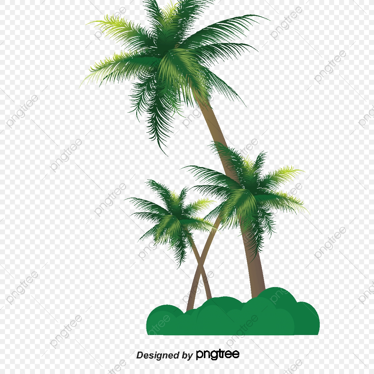 1200x1200 Vector Palm, Vector, Cartoon, Hand Painted Png And Vector