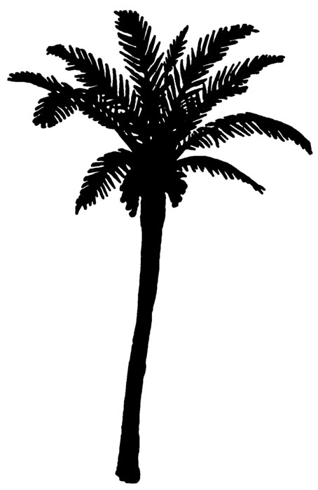 454x700 Collection Of 'palm Tree Silhouette' Download More Than Images