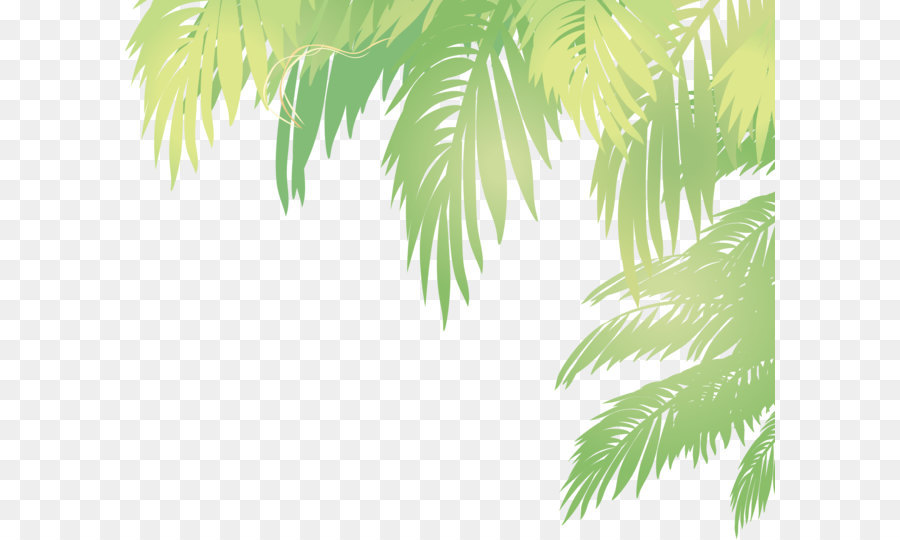 900x540 Date Tree Leaf