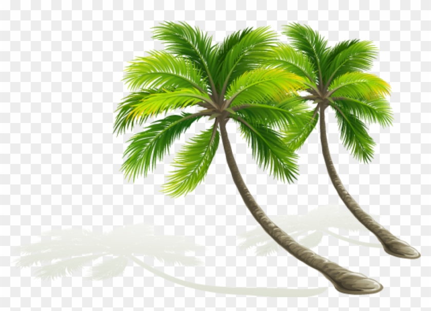 Palmera Vector At Vectorified Com Collection Of Palmera Vector Free For Personal Use