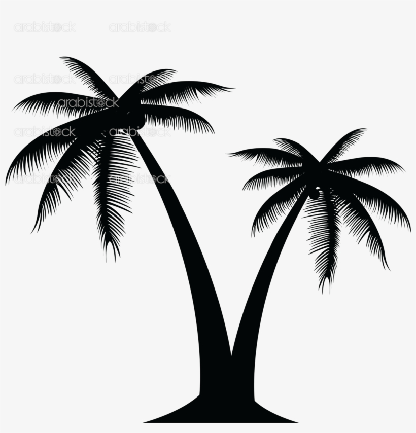 Palmera Vector At Vectorified Com Collection Of Palmera Vector Free For Personal Use