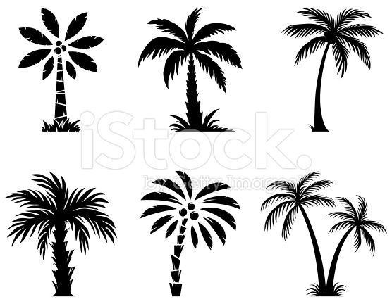 556x432 Set Of Palm Trees Tattoos Tatuajes De Palmeras, Tatuaje
