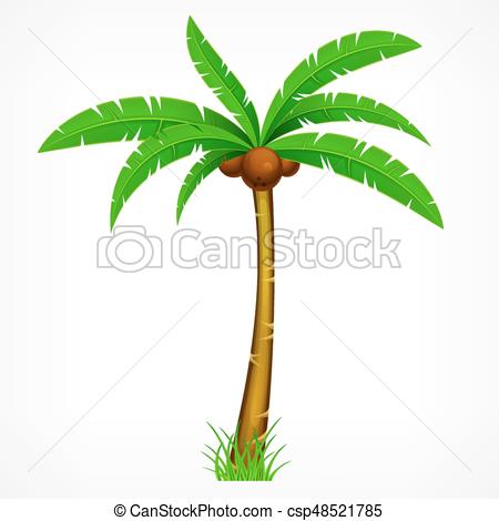 450x470 Tropical, Palmera Illustration Hojas, Verdes, Tropical