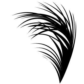 332x332 Vector De Palmera Hojas