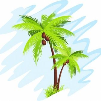 338x338 Vector De La Palmera Brasil Tree Designs, Palm, Palm Trees