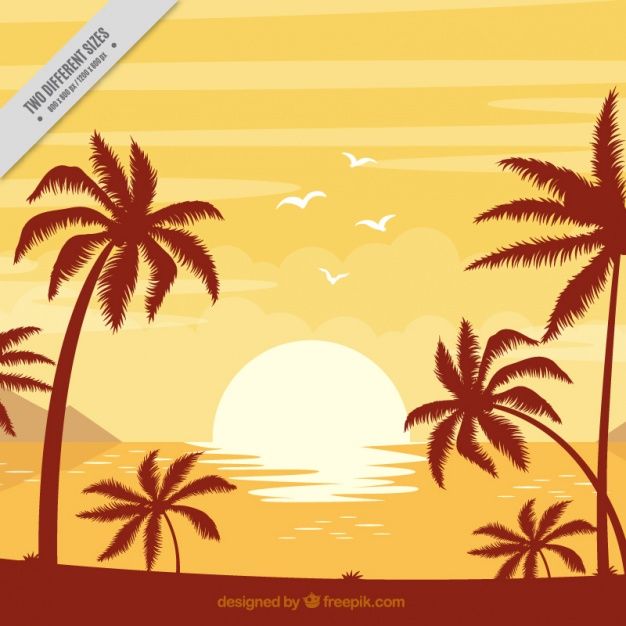 626x626 Fondo De Playa Con Palmeras Al Atardecer Vector Gratis Cuadros