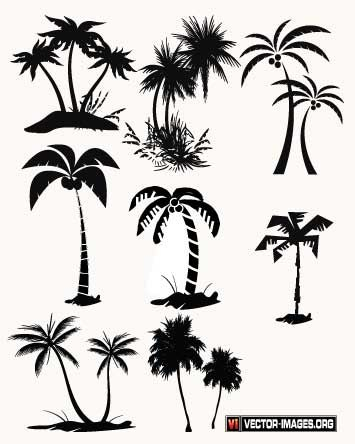 355x444 Good Palm Tree Vector Inspiration Brepps Wallpaper