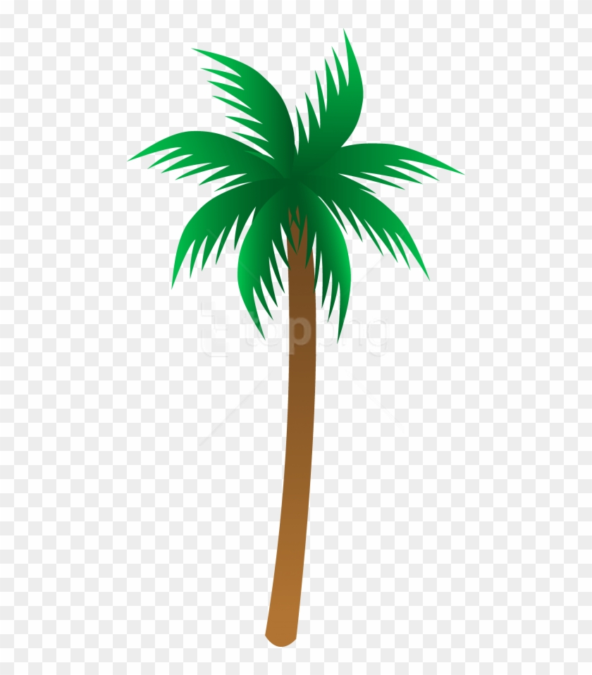 840x958 Free Png Palm Tree Png Images Transparent