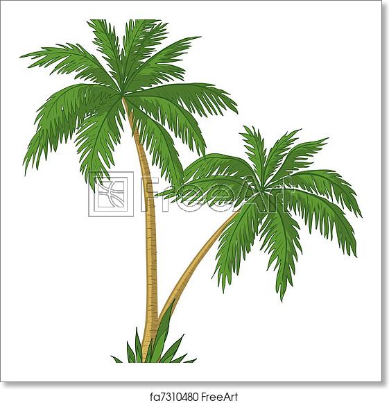 561x581 Free Art Print Of Palm Trees Vector, Palm Trees With Green Leaves