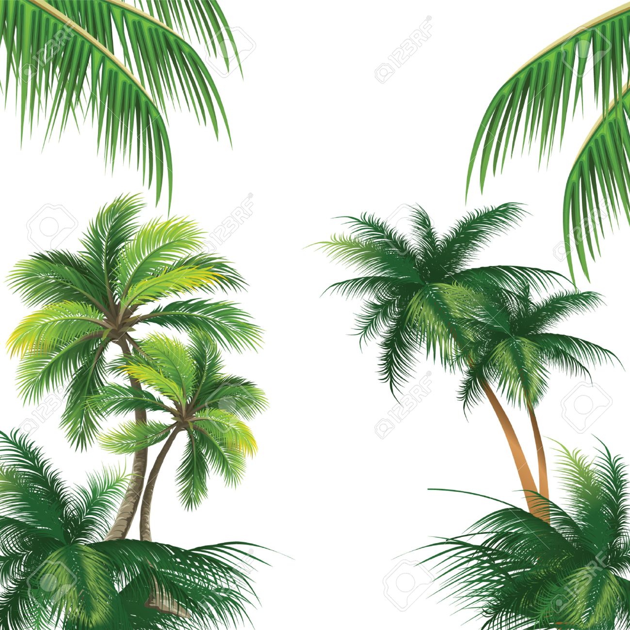 1299x1300 Palm Tree Vector