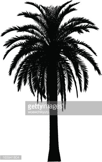 329x520 Palm Tree Vector Premium Clipart