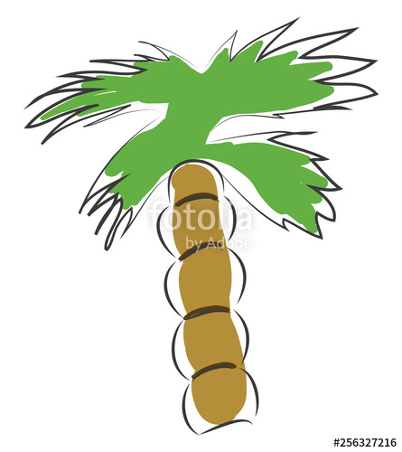 445x500 Palm Tree Vector Illustration On White Background Stock Image