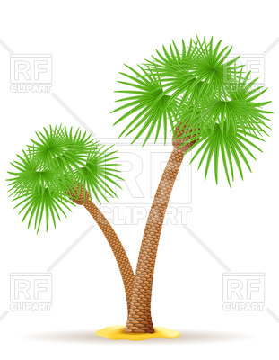 311x400 Palm Trees Vector Image Of Plants And Animals Konturvid