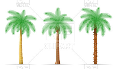 400x240 Palm Trees Vector Image Of Plants And Animals Konturvid