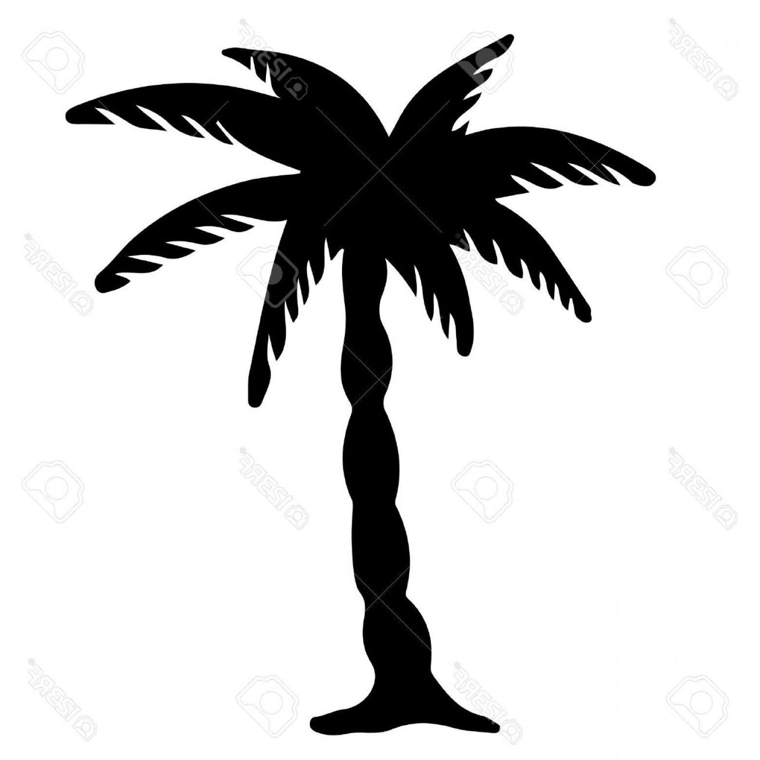 1560x1560 Photostock Vector Coconut Palm Tree Black Silhouette Isolated