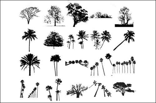 500x330 Tree Vector Free Editable Illustrations To Download