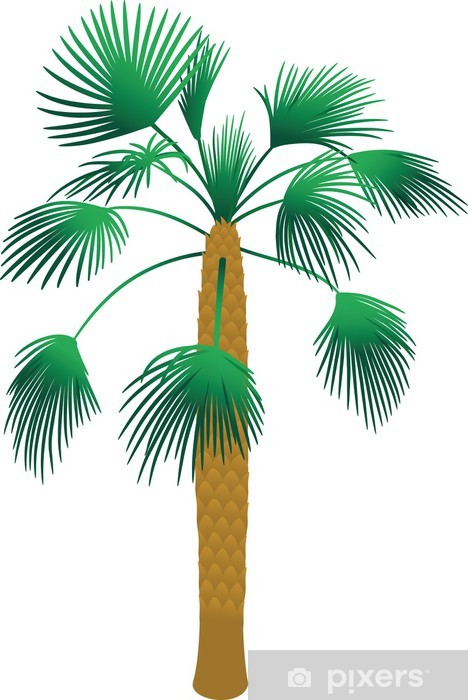 468x700 Tropical Palm Tree Vector Wall Mural