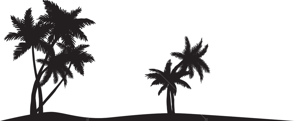 1000x413 Vector Palm Trees Royalty Free Stock Image
