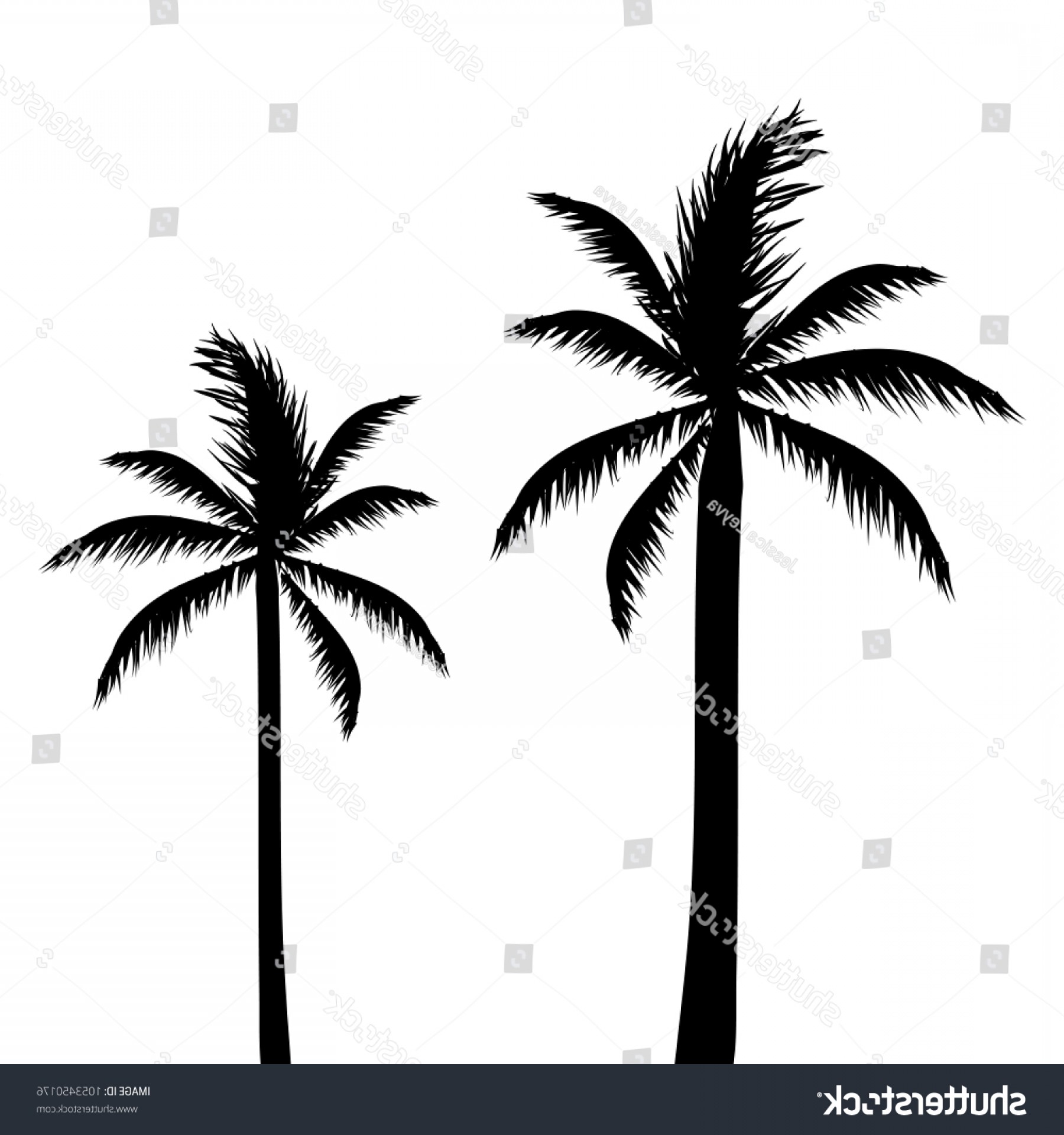 1800x1920 Abstract Palm Trees Vector Illustration Black Catchsplace