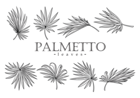 286x200 Palmetto Free Vector Art