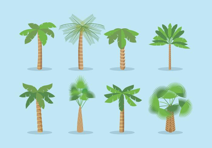 700x490 Palmetto Vector