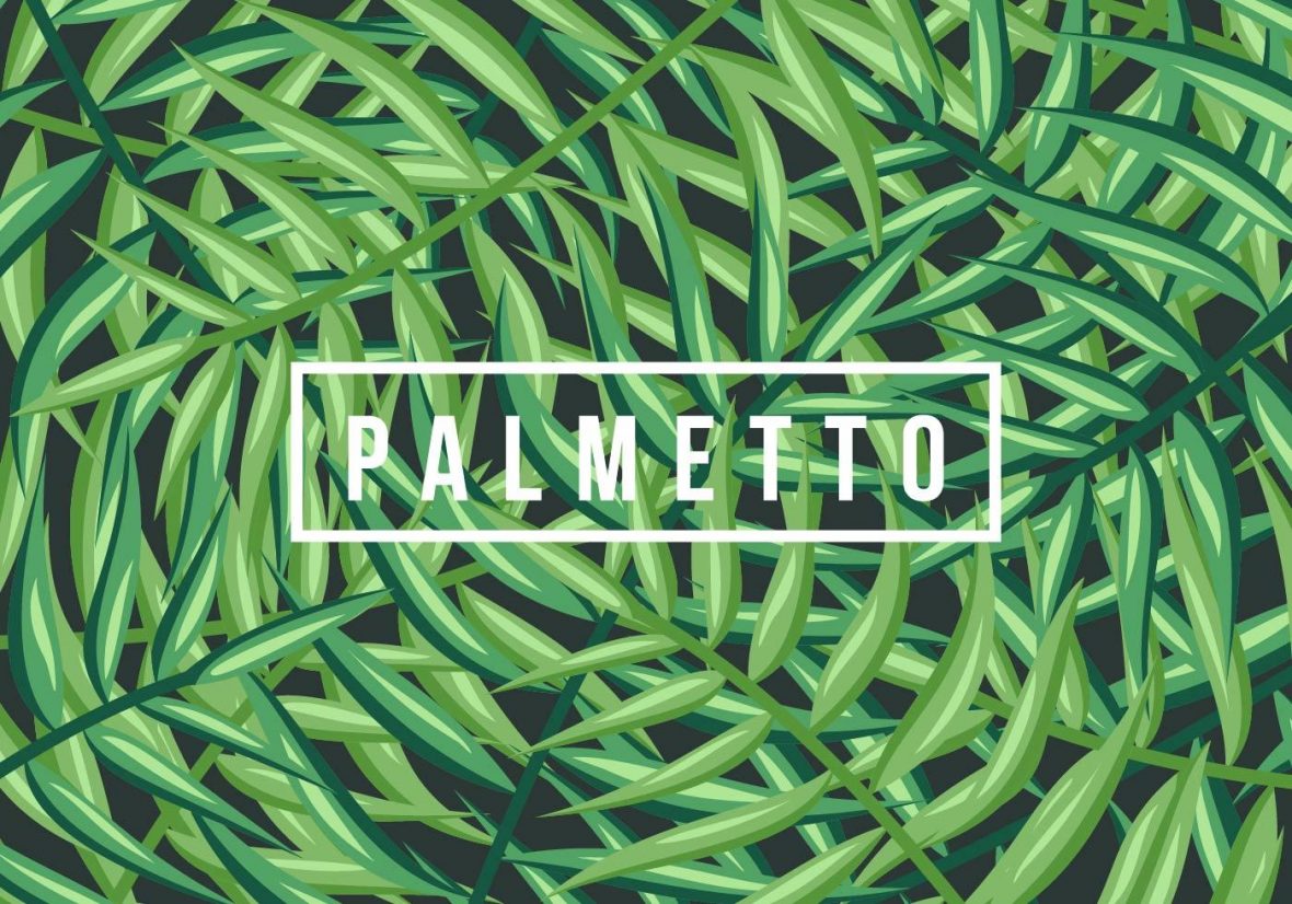 1180x826 Palmetto Vector Background