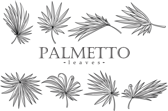 655x433 Hd Palmetto Leaves Vector