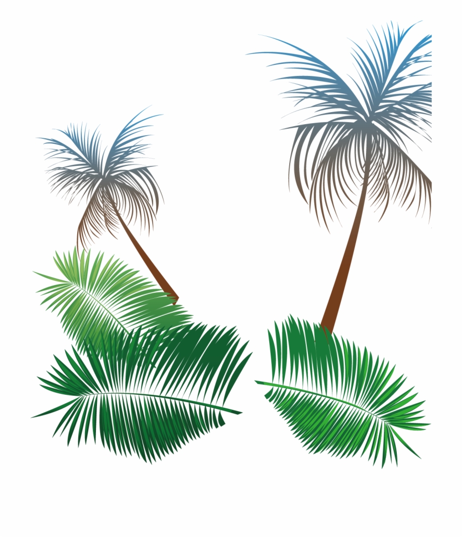 920x1068 Palms Vector Summer Leaf