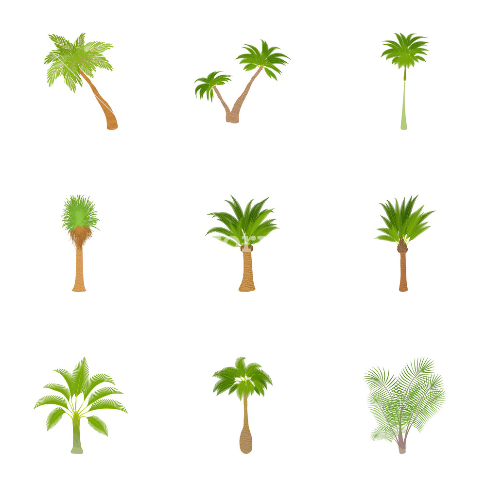 1000x1000 Green Palms Icons Set Cartoon Illustration Of Green Palms