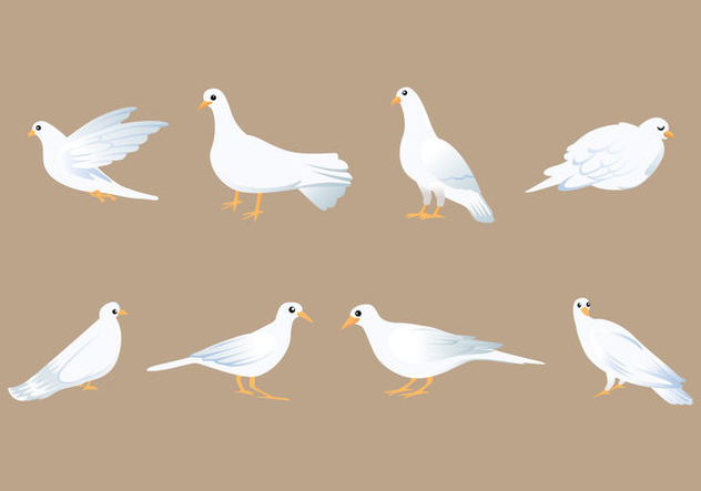 Paloma Bird Vector Free Vector Download Cannypic 632x443 Paloma Bird Vector Free Vector Download Cannypic